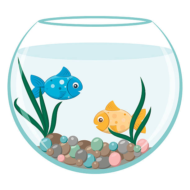 Aquarium fish clipart 4 » Clipart Station.