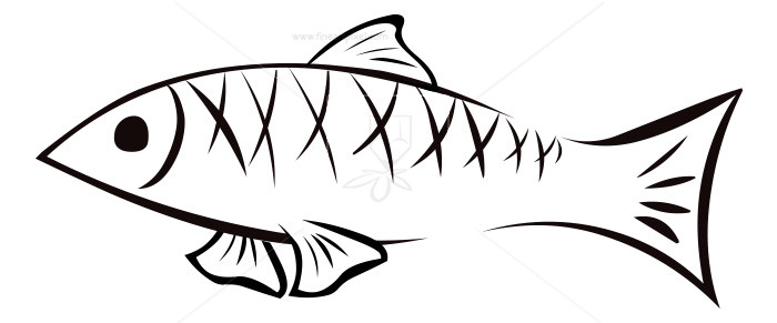 Fish Outline.