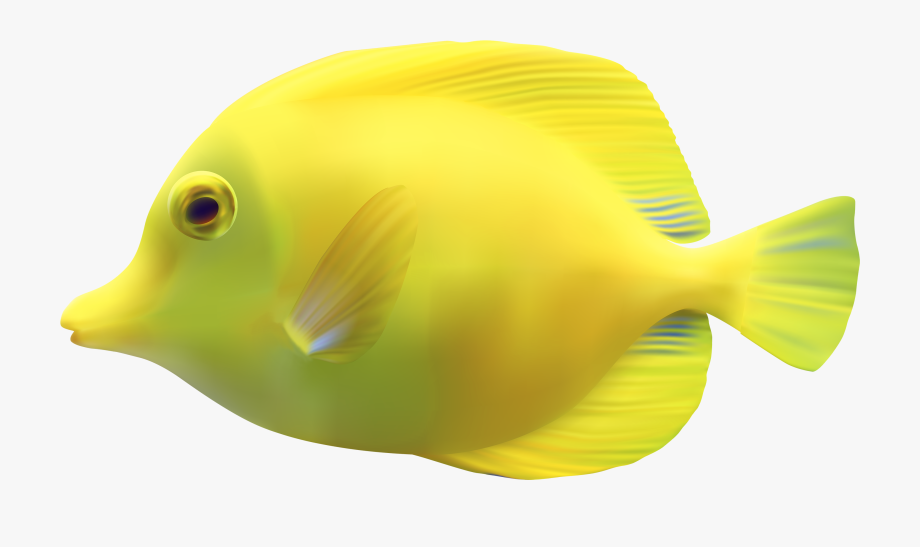 Yellow Zebrasomatang Fish Png Clipart.