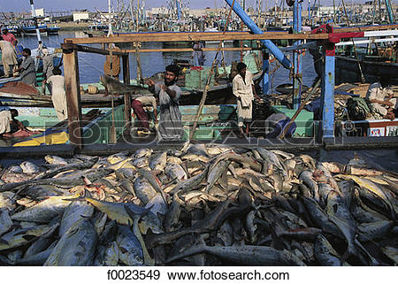 Stock Photograph of Pakistan, Sindh, Karachi, fishing port, return.