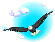 Bird flying in the sky clipart.