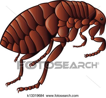 Flea Clipart.