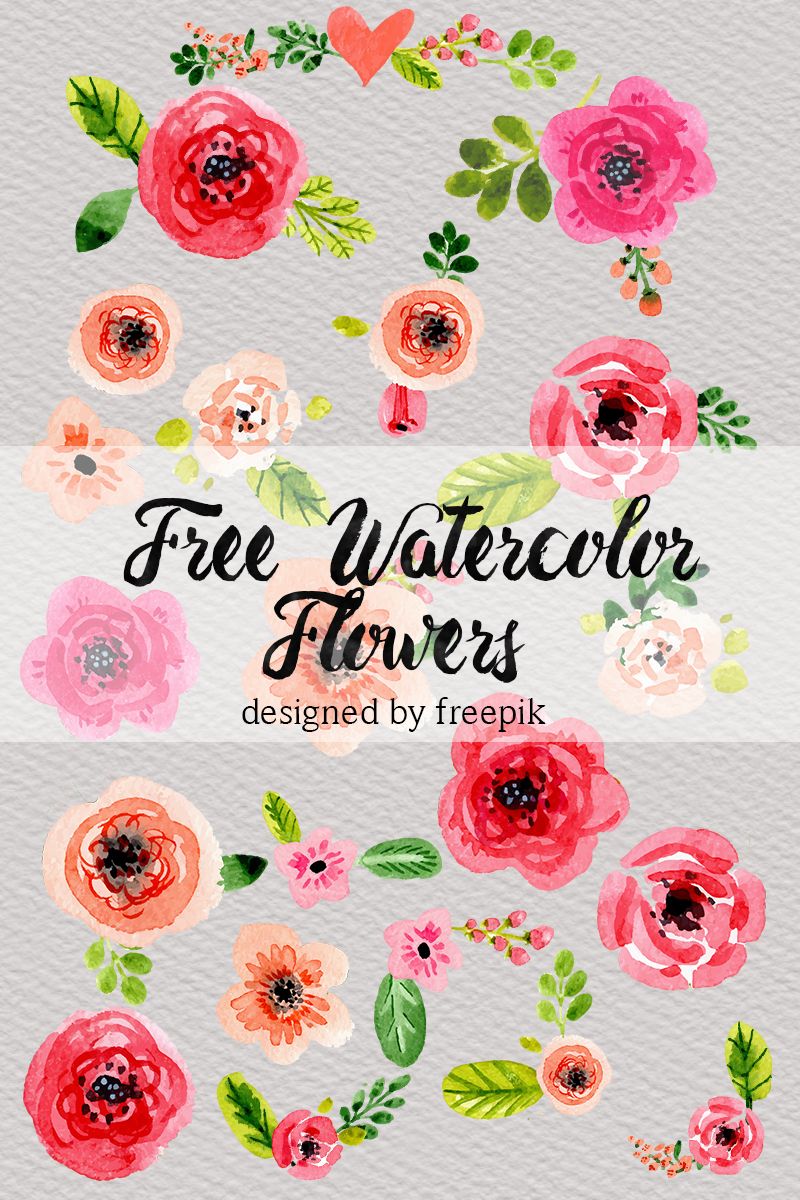 DLOLLEYS HELP: Free Watercolor Flowers.