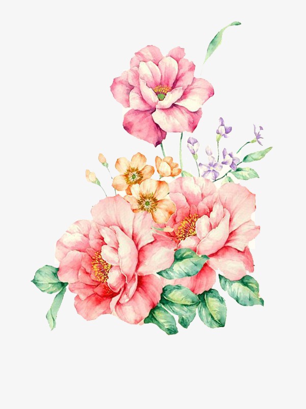 Floral Watercolor, Watercolor Clipart, Flowers, Painted PNG.