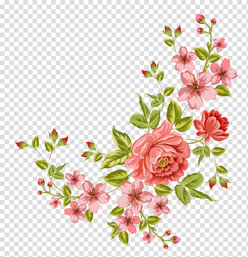 Flower , Corner flower, pink flowers transparent background.