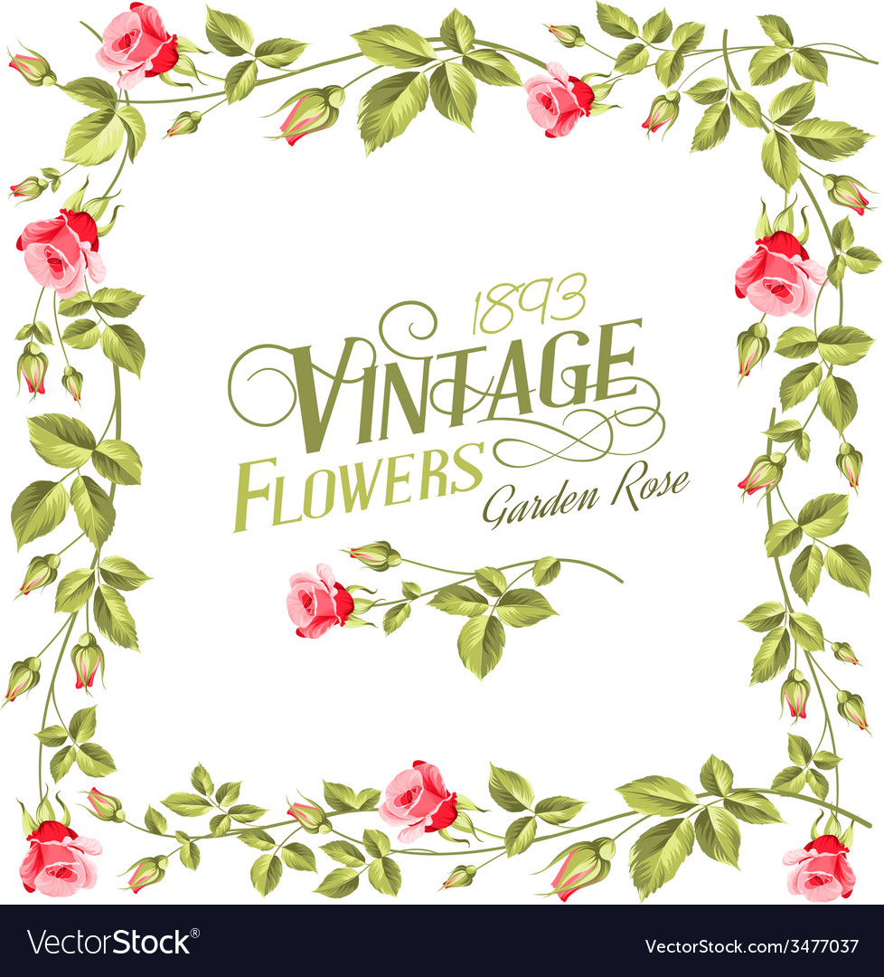 Vintage flower frame.