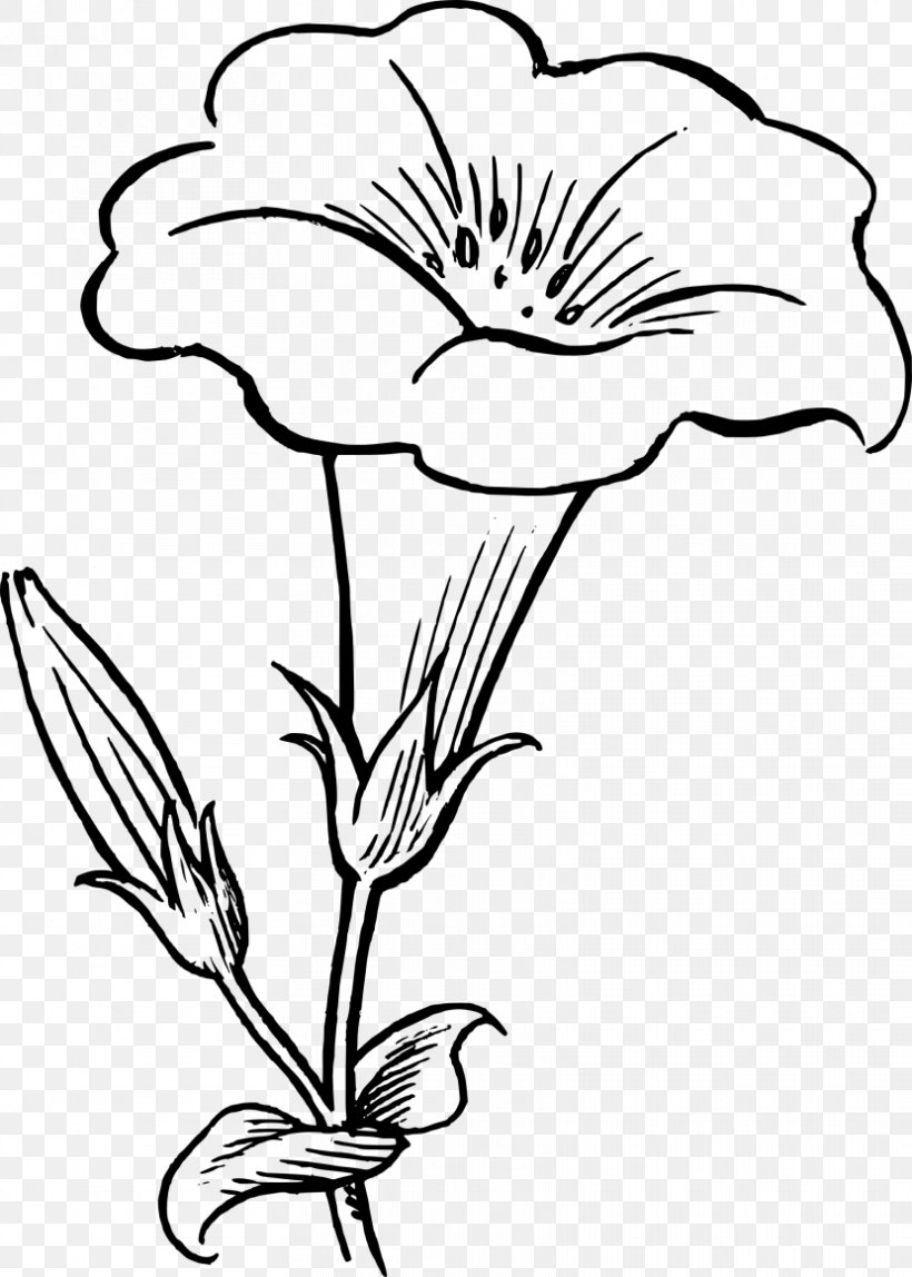 Drawing Flower Line Art Clip Art, PNG, 830x1162px, Drawing.