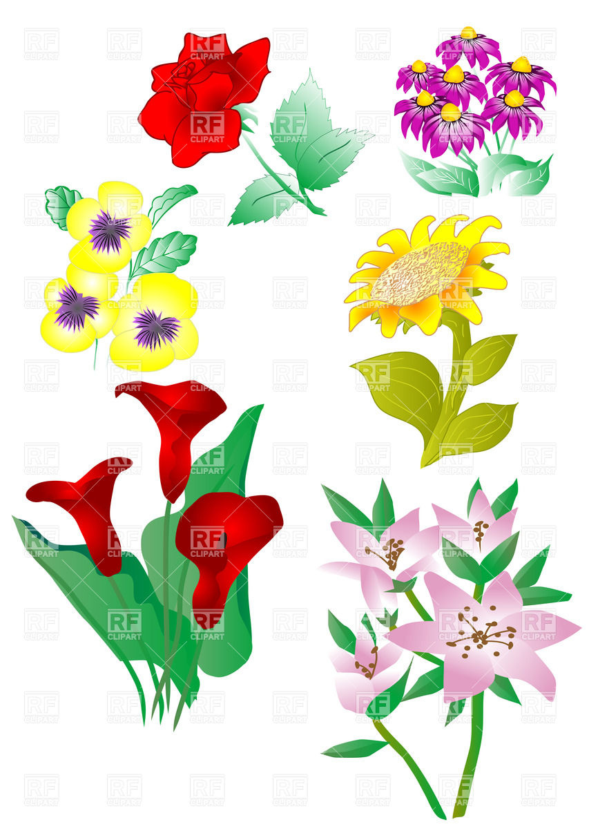 Set Of Flowers Clipart.