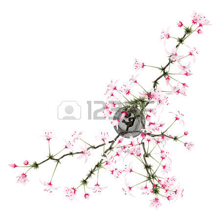 205 Flowering Twig Stock Vector Illustration And Royalty Free.