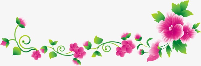 Flower Vine Clipart Png.