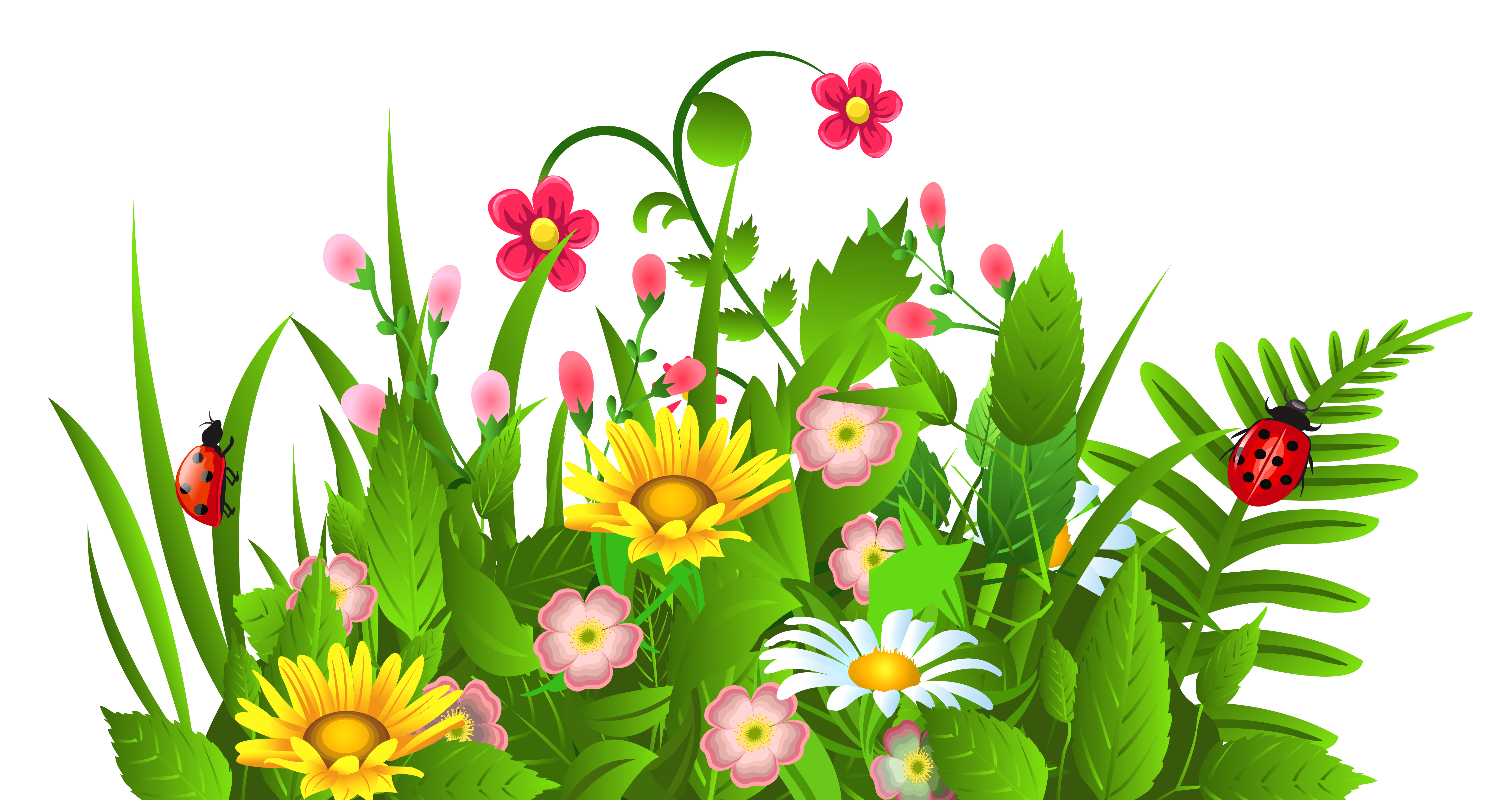 Flowers clip art free clipart images clipartwiz.