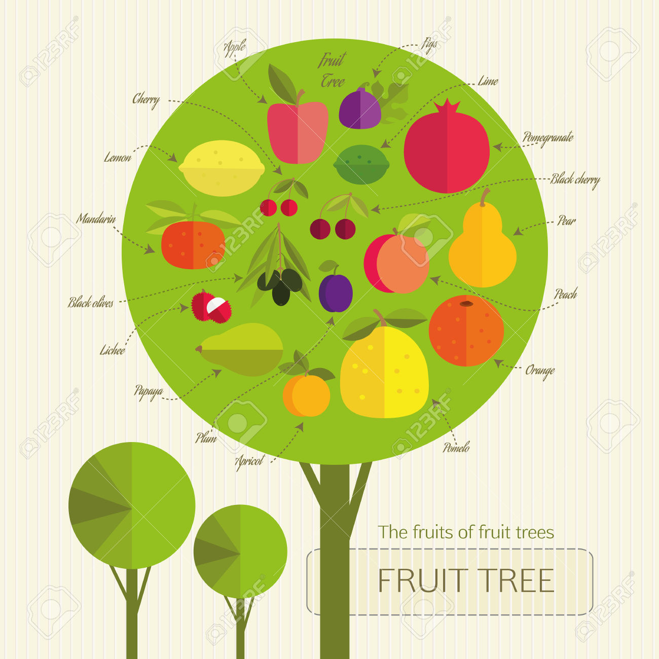 Conditional Fruit Tree With Fruits That Grow On Trees From.