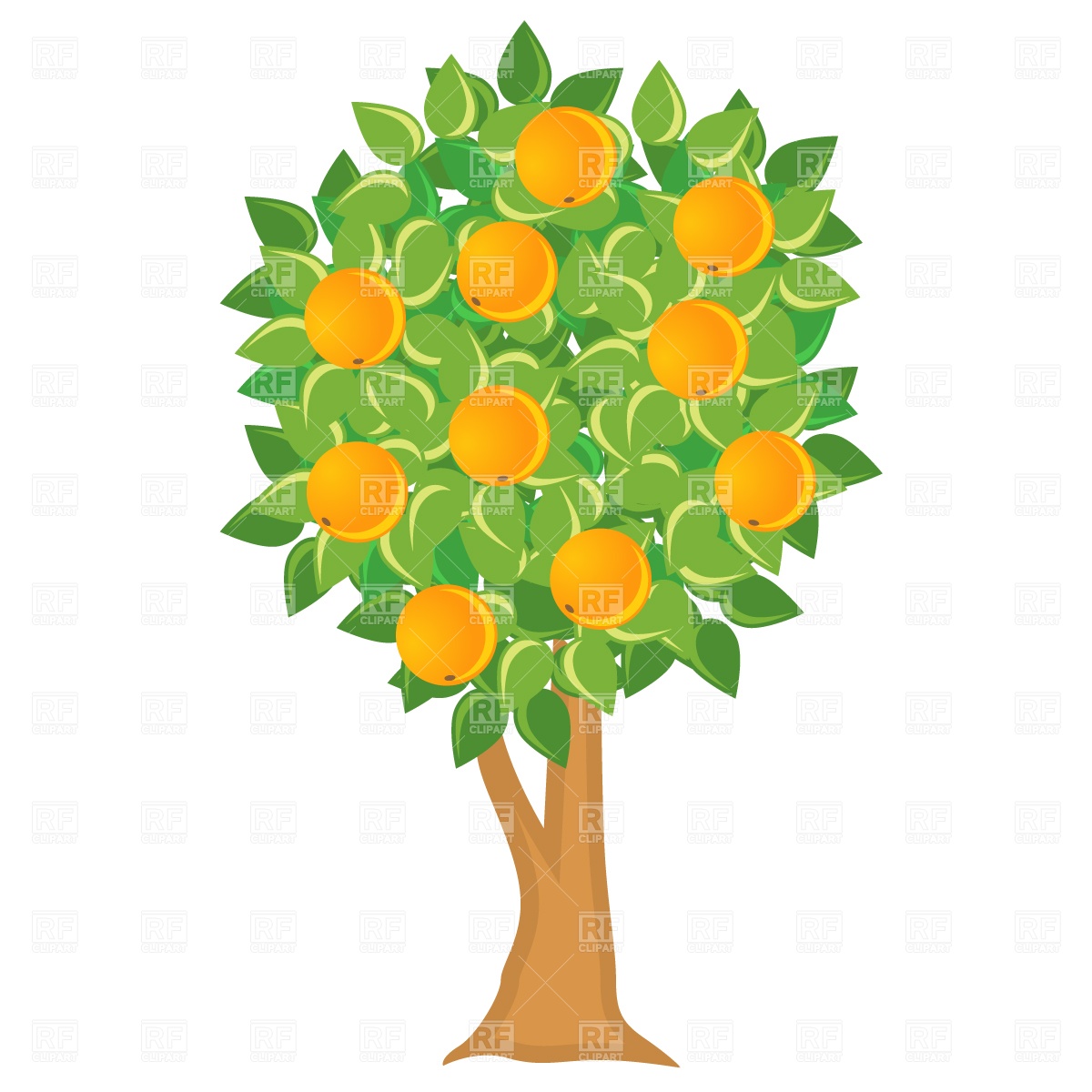 Flowers and fruits clipart.