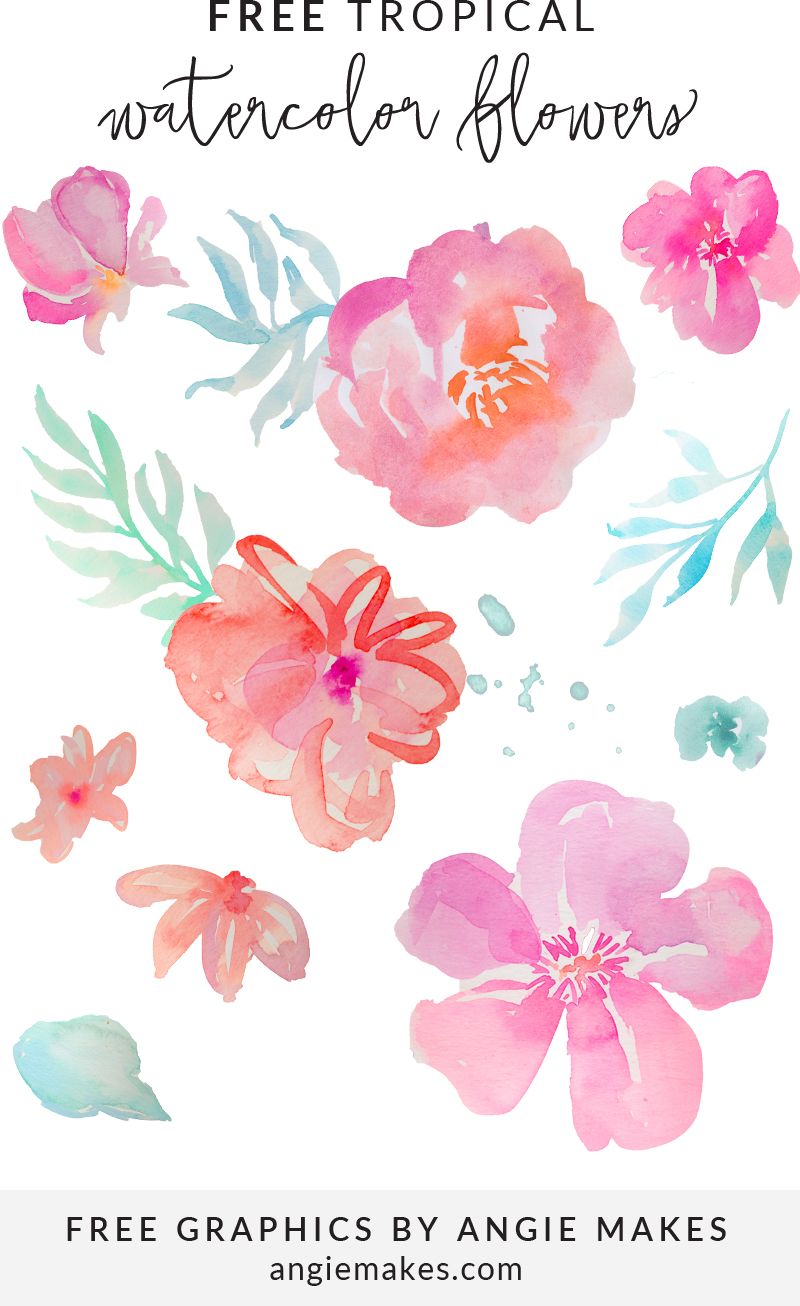 Free Tropical Watercolor Flower Clip Art.