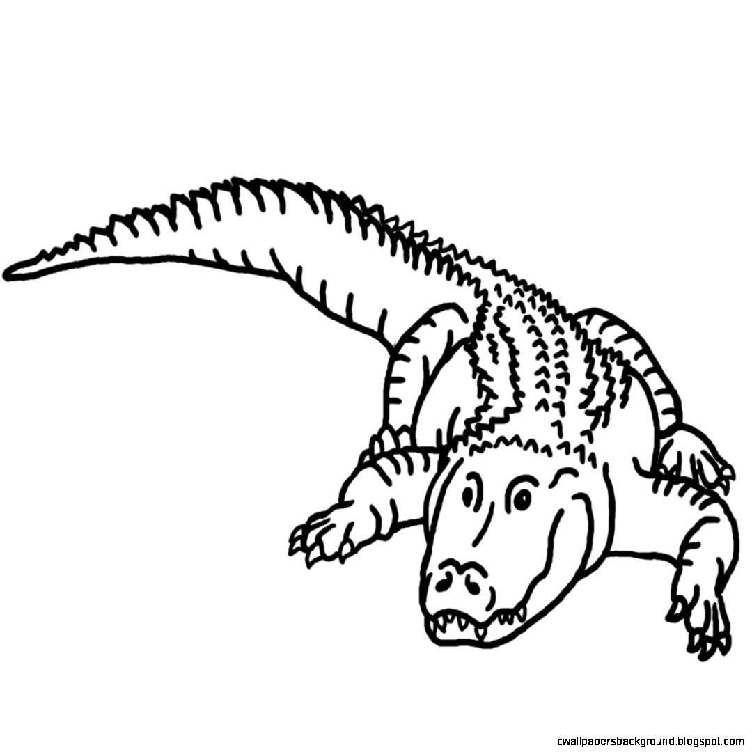 Free Black And White Alligator Clipart, Download Free Clip.