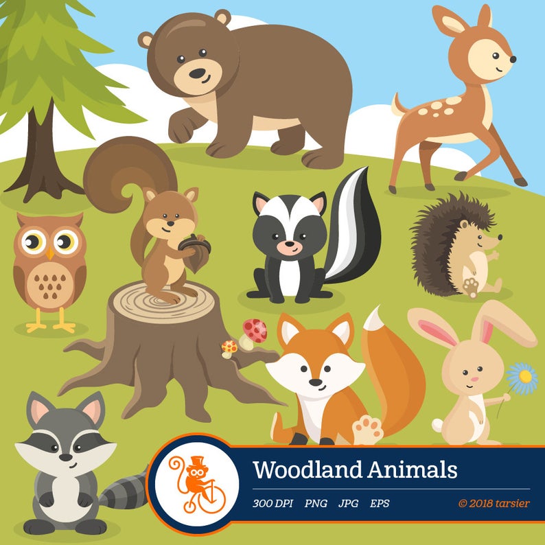 Woodland Animals clip art, Forest animal clipart images Royalty free and  commercial use Includes fox raccoon deer squirrel bear owl rabbit.