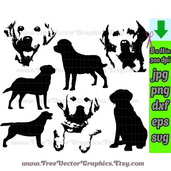 Labrador dog svg vector files clip art lab silhouette yellow.