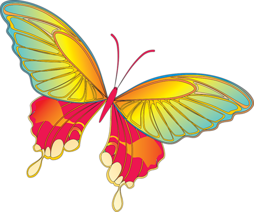 Cartoon Butterfly Image.