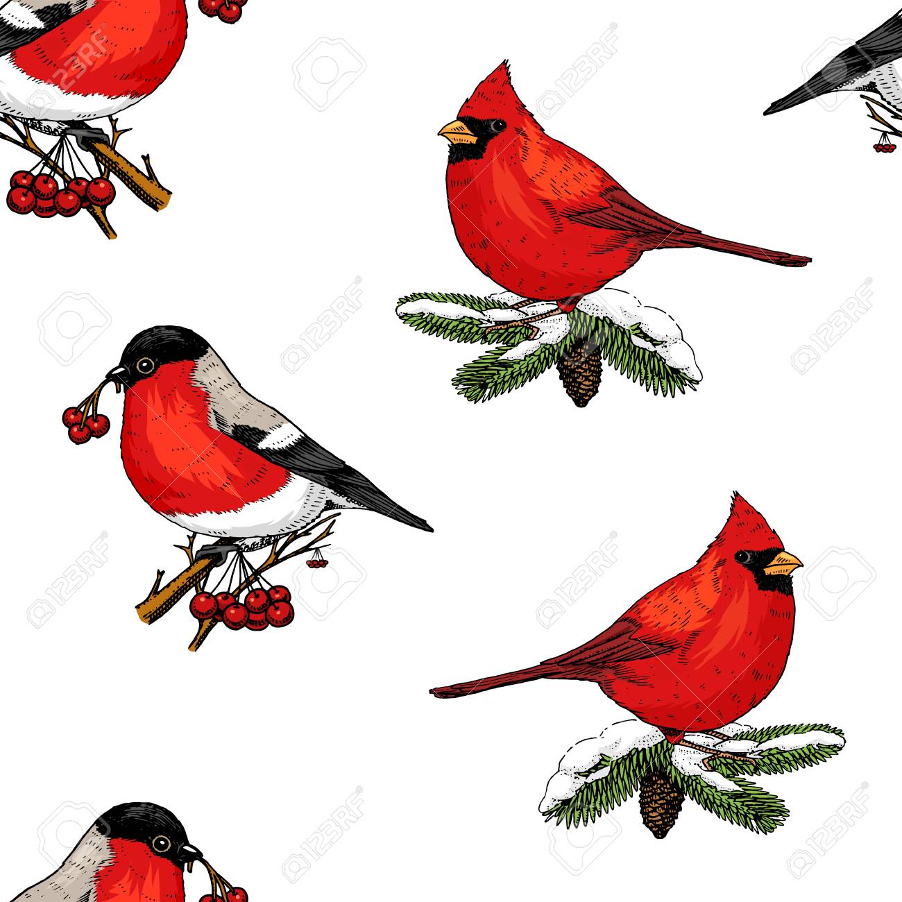 seamless pattern holly and bullfinch, red cardinal, birds. Merry...