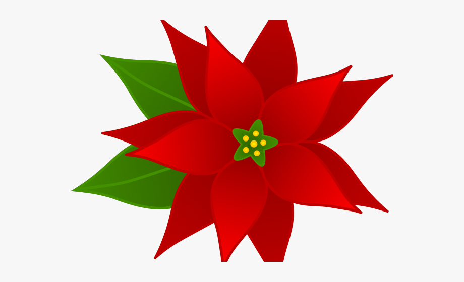 Flowers Borders Clipart Christmas.