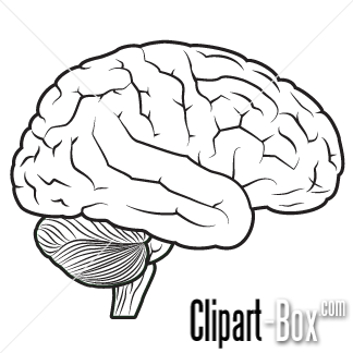 CLIPART BRAIN.