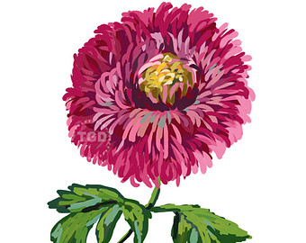 Free Chrysanthemum Cliparts, Download Free Clip Art, Free.