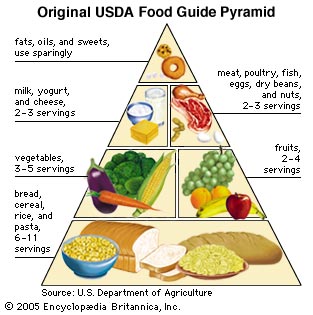 Clip Art Food Pyramid.