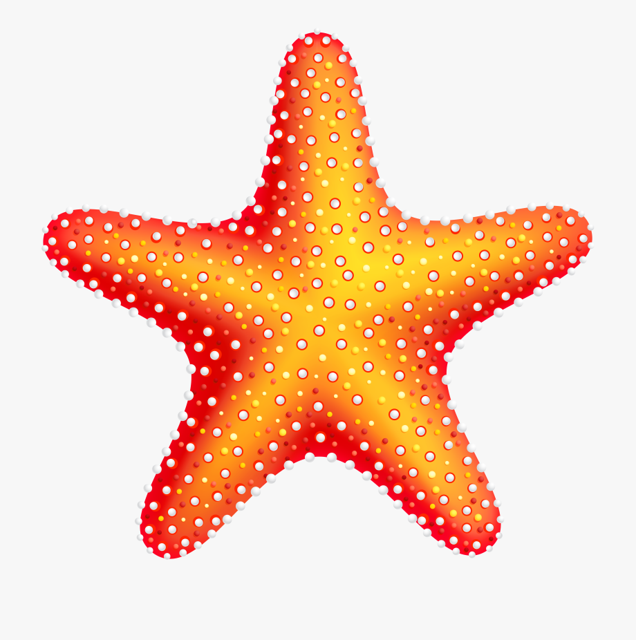 Star Fish Clipart.