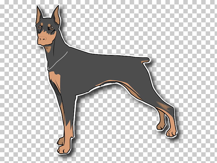 Dobermann Miniature Pinscher Great Dane , Doberman s PNG.