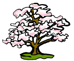 Free Dogwood Tree Cliparts, Download Free Clip Art, Free.