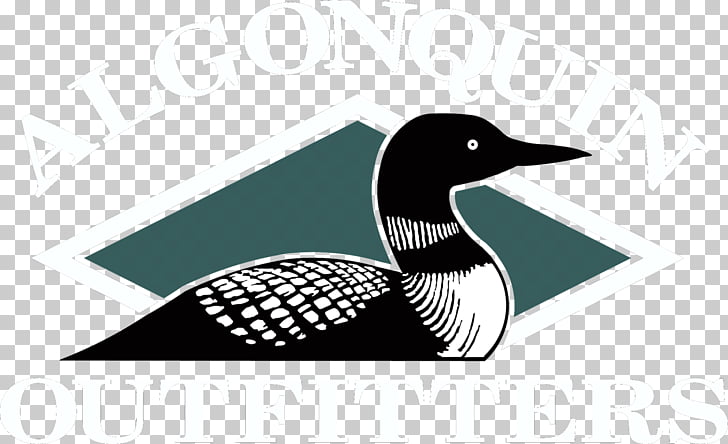 Common loon Drawing Bird Duck , cartoon lake water PNG.