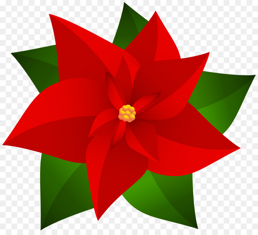 Christmas Poinsettia Clipart png download.