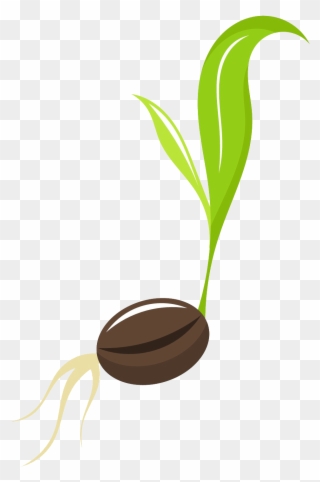 Free PNG Seed Clip Art Download.