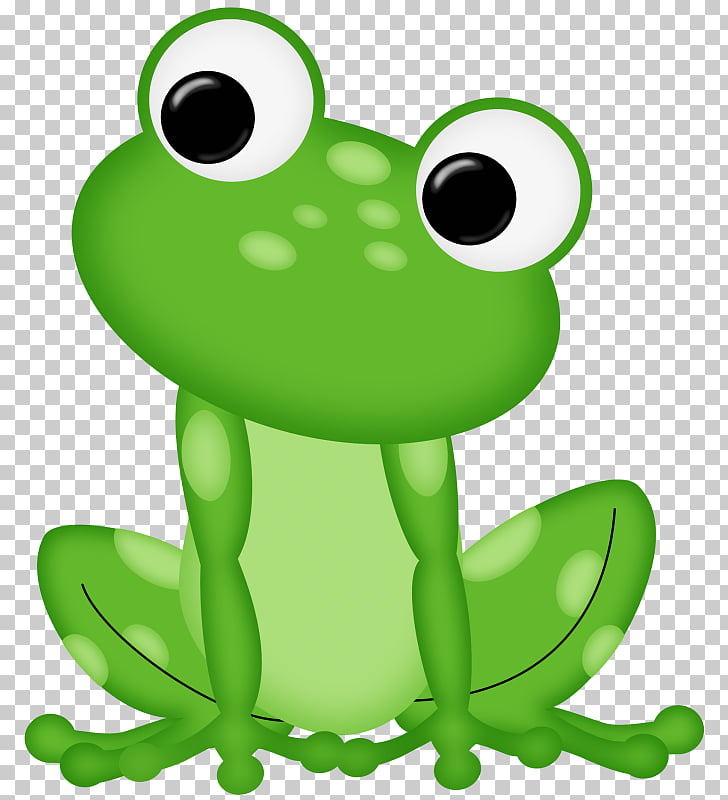 Frog , Rana PNG clipart.