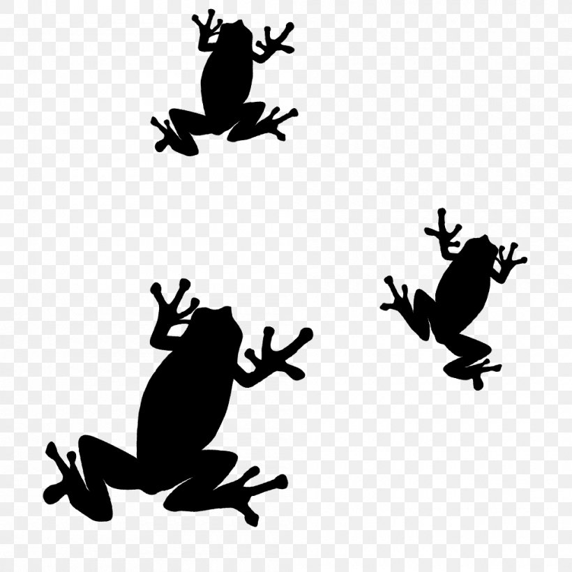 Toad Frog Silhouette Clip Art, PNG, 1000x1000px, Toad.