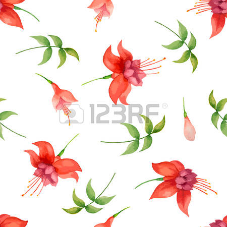 6,192 Fuchsia Stock Vector Illustration And Royalty Free Fuchsia.