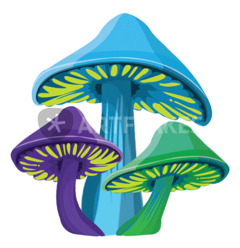 Funky Mushrooms.