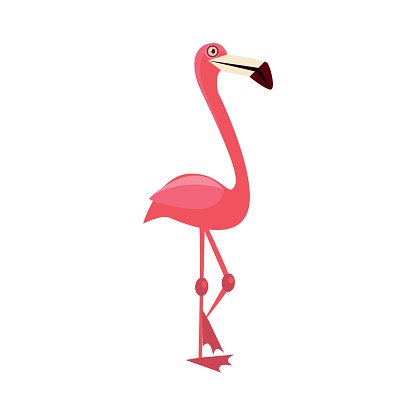 Pink Flamingo Funny Illustration Clipart Image.