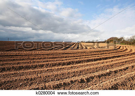 Stock Photo of Ploughed Field Furrows k0280004.