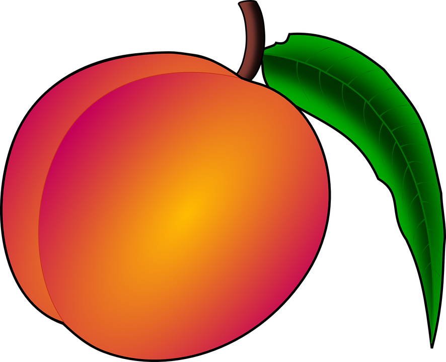 Free vector graphic: Peach, Fruit, Nectarine, Plant.