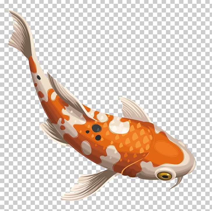 Koi Carassius Auratus Fish PNG, Clipart, Animals, Aquarium Fish.