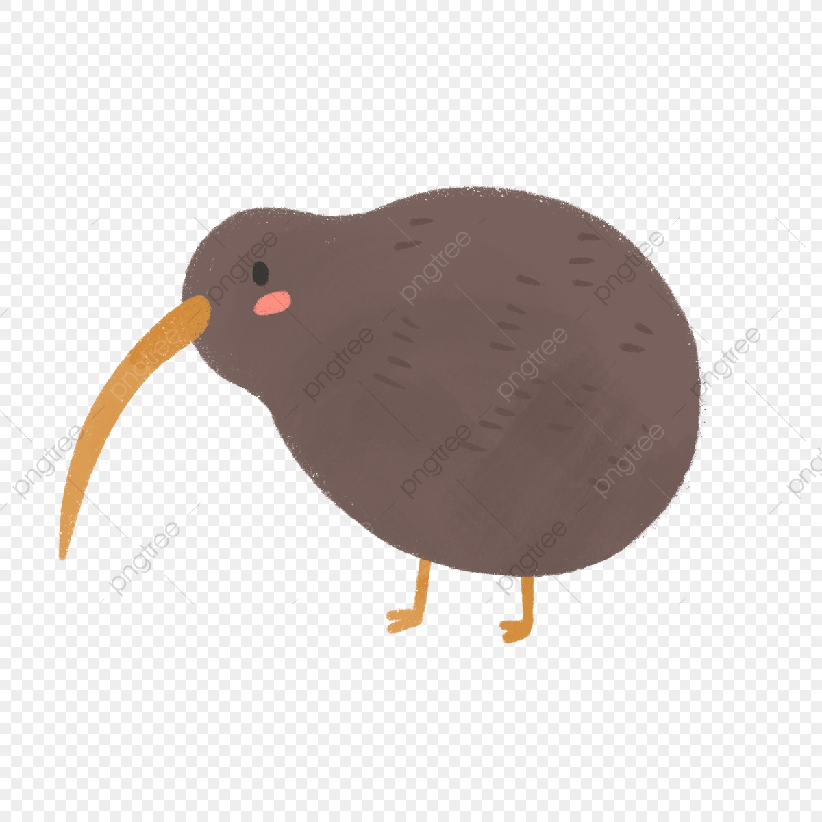 Hand Drawn Cute Kiwi Bird, Kiwi Bird, New Zealand, Hand Drawn PNG.