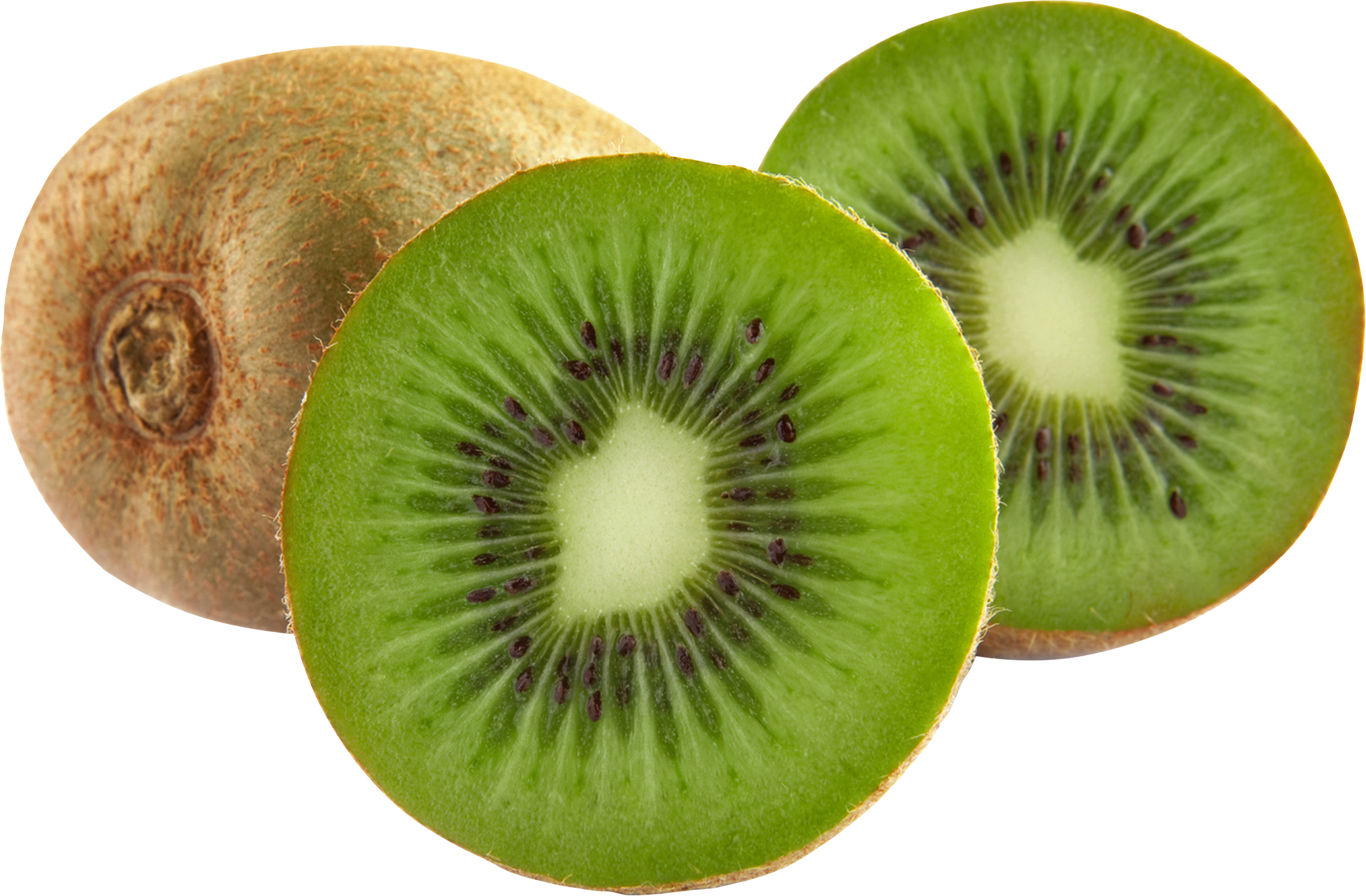 Kiwi PNG Image.