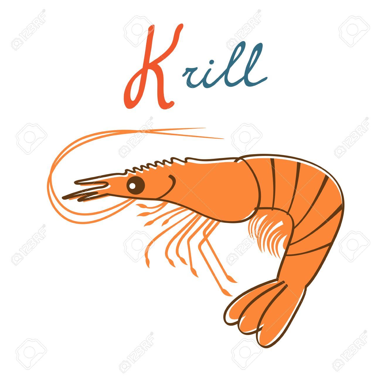 Illustration of K is for Krill » Clipart Portal.