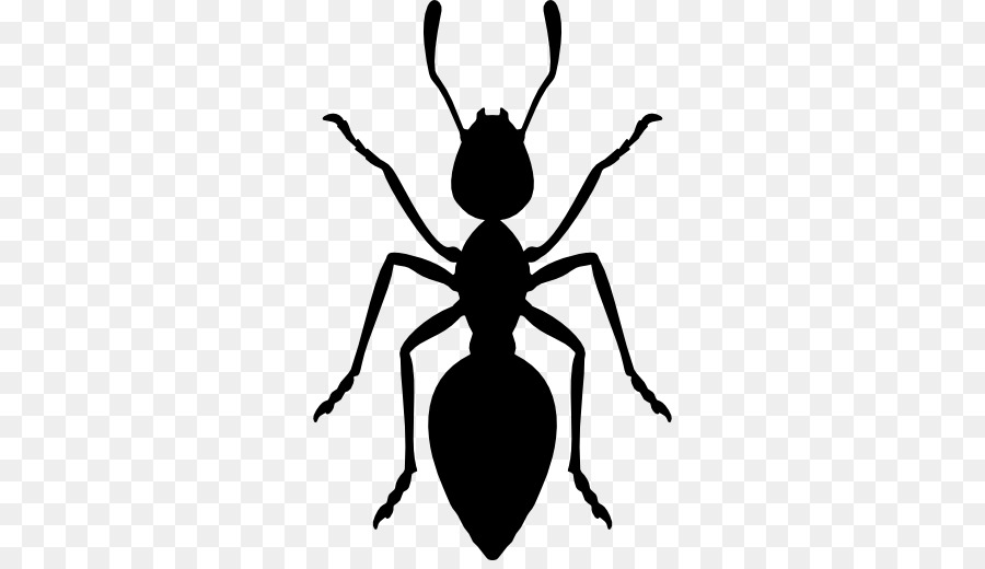 Ant Cartoon clipart.