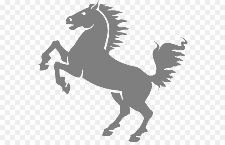 Horse Cartoon clipart.