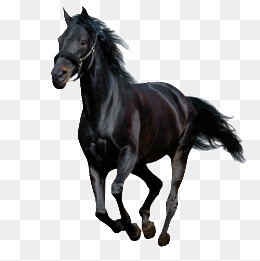 Running Horse, Horse Clipart, Product Ki #70863.