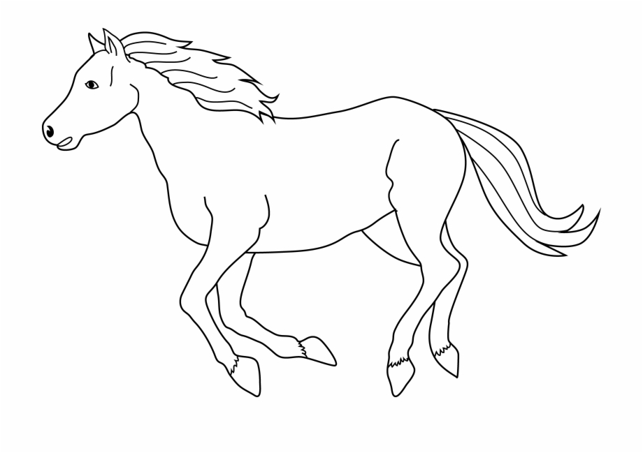 Horses clipart equine, Horses equine Transparent FREE for.