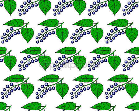 Hackberry Stock Vectors, Royalty Free Hackberry Illustrations.