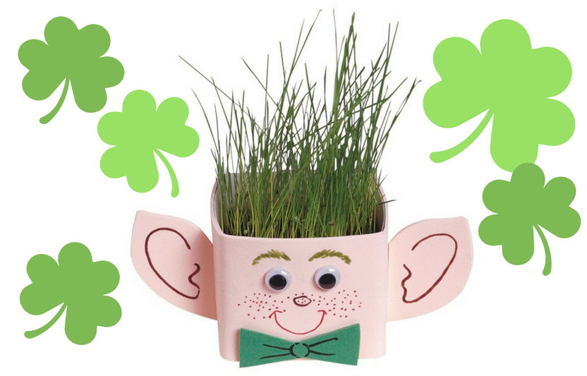 Leprechaun “Hair” Planter.